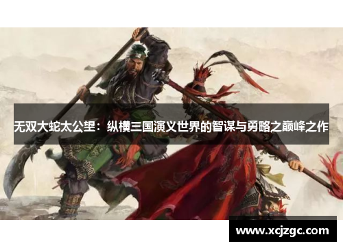 无双大蛇太公望：纵横三国演义世界的智谋与勇略之巅峰之作