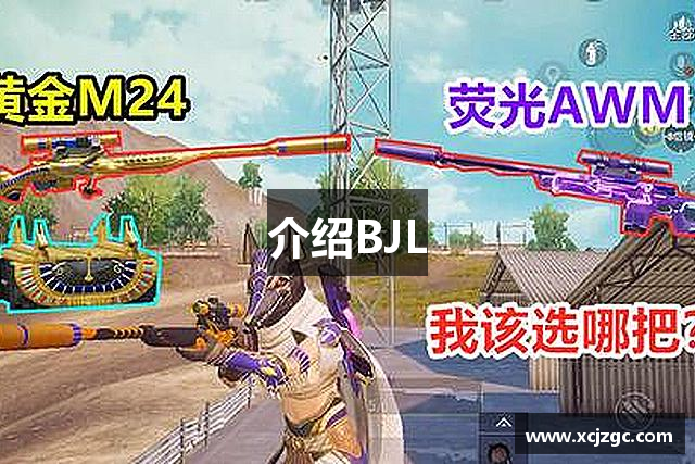 介绍BJL